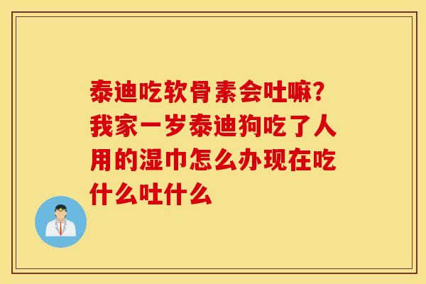 泰迪吃软骨素会吐嘛？我家一岁泰迪狗吃了人用的湿巾怎么办现在吃什么吐什么