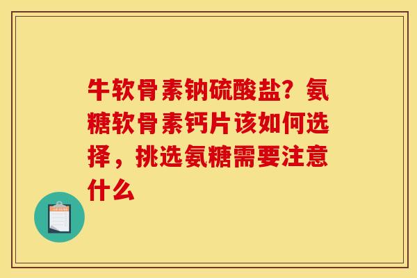 牛软骨素钠硫酸盐？氨糖软骨素钙片该如何选择，挑选氨糖需要注意什么