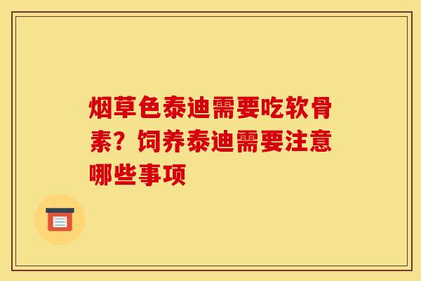 烟草色泰迪需要吃软骨素？饲养泰迪需要注意哪些事项