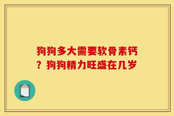 狗狗多大需要软骨素钙？狗狗精力旺盛在几岁