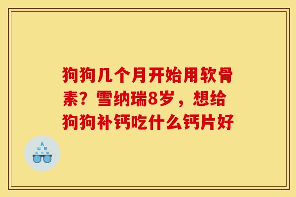 狗狗几个月开始用软骨素？雪纳瑞8岁，想给狗狗补钙吃什么钙片好