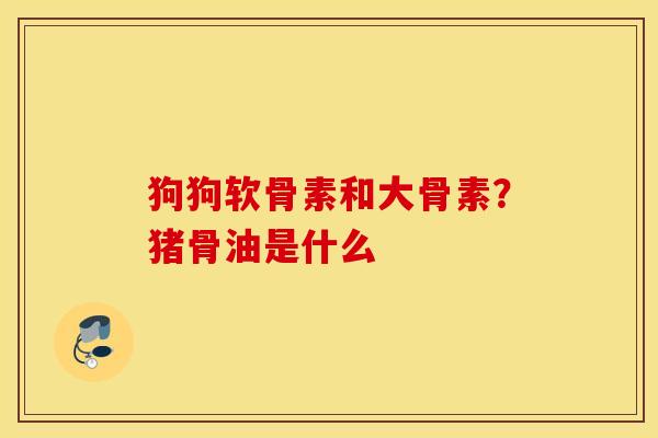 狗狗软骨素和大骨素？猪骨油是什么