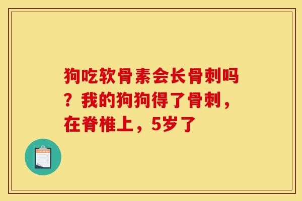 狗吃软骨素会长骨刺吗？我的狗狗得了骨刺，在脊椎上，5岁了