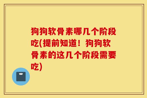 狗狗软骨素哪几个阶段吃(提前知道！狗狗软骨素的这几个阶段需要吃)