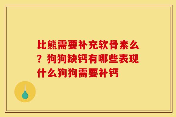 比熊需要补充软骨素么？狗狗缺钙有哪些表现什么狗狗需要补钙