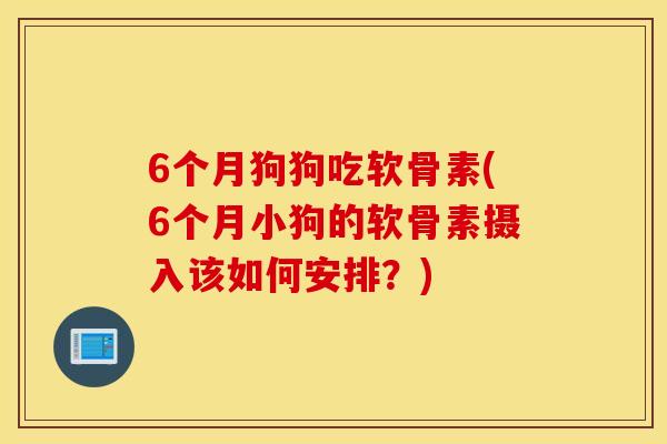 6个月狗狗吃软骨素(6个月小狗的软骨素摄入该如何安排？)