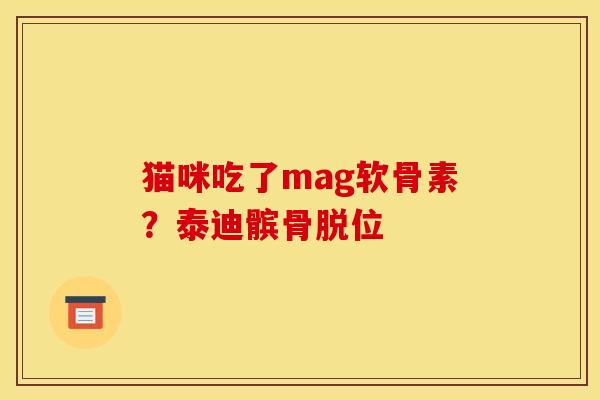 猫咪吃了mag软骨素？泰迪髌骨脱位