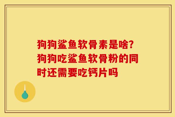 狗狗鲨鱼软骨素是啥？狗狗吃鲨鱼软骨粉的同时还需要吃钙片吗