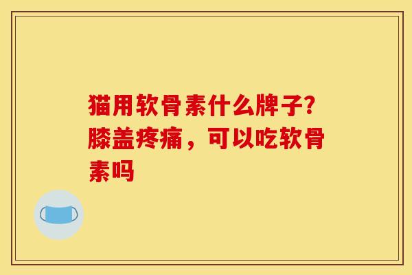 猫用软骨素什么牌子？膝盖疼痛，可以吃软骨素吗