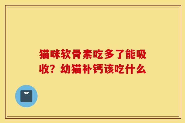 猫咪软骨素吃多了能吸收？幼猫补钙该吃什么