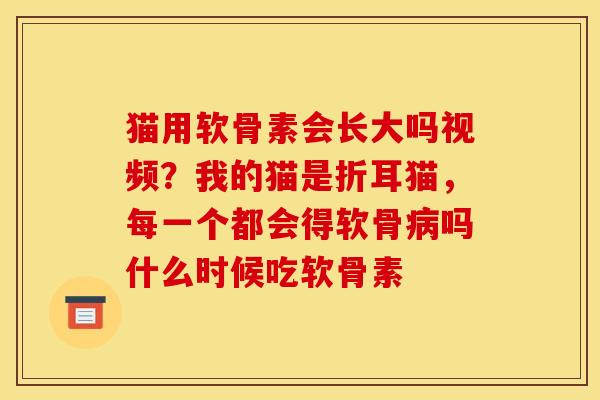 猫用软骨素会长大吗视频？我的猫是折耳猫，每一个都会得软骨病吗什么时候吃软骨素