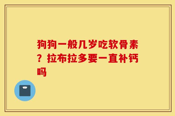 狗狗一般几岁吃软骨素？拉布拉多要一直补钙吗