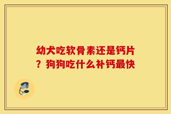 幼犬吃软骨素还是钙片？狗狗吃什么补钙最快