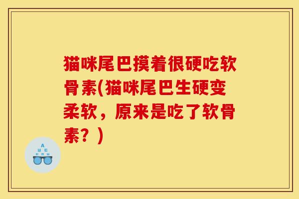 猫咪尾巴摸着很硬吃软骨素(猫咪尾巴生硬变柔软，原来是吃了软骨素？)
