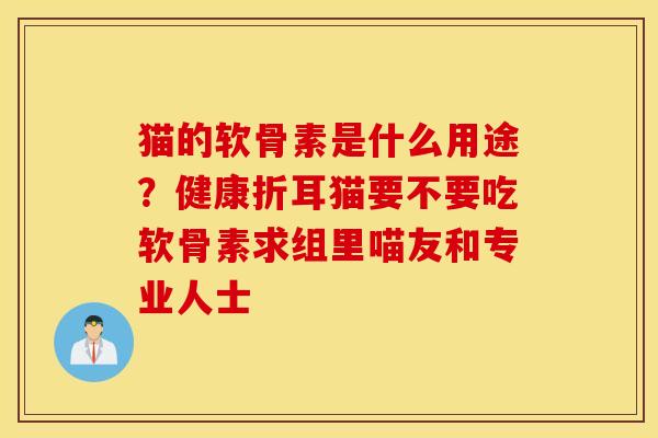 猫的软骨素是什么用途？健康折耳猫要不要吃软骨素求组里喵友和专业人士