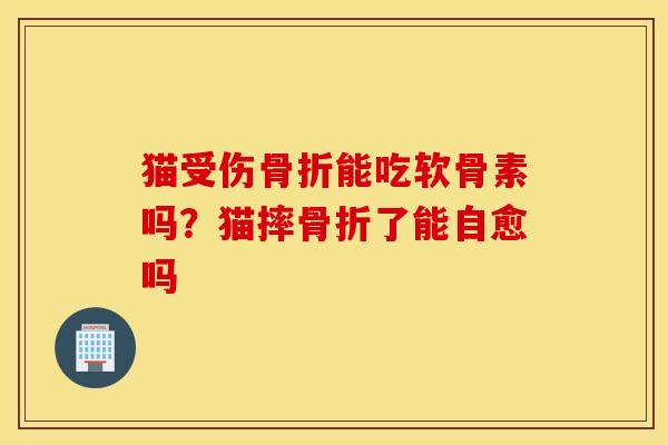 猫受伤骨折能吃软骨素吗？猫摔骨折了能自愈吗