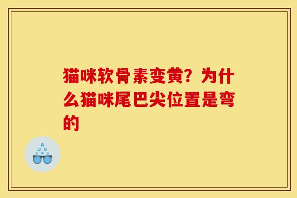 猫咪软骨素变黄？为什么猫咪尾巴尖位置是弯的