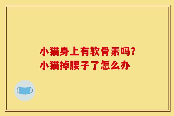 小猫身上有软骨素吗?小猫掉腰子了怎么办 小猫身上有软骨素吗?小猫掉腰子了怎么办