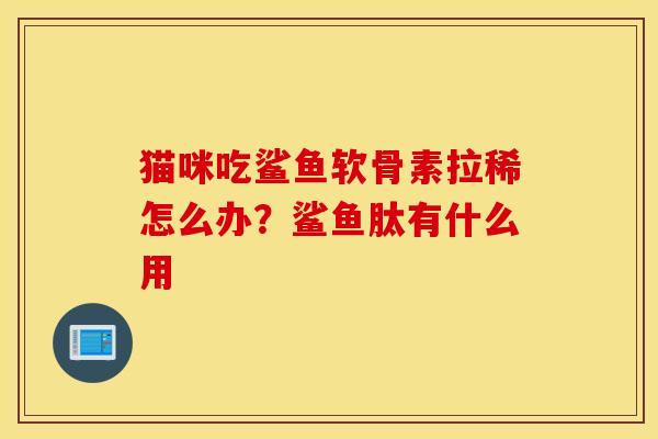 猫咪吃鲨鱼软骨素拉稀怎么办？鲨鱼肽有什么用