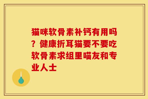 猫咪软骨素补钙有用吗？健康折耳猫要不要吃软骨素求组里喵友和专业人士