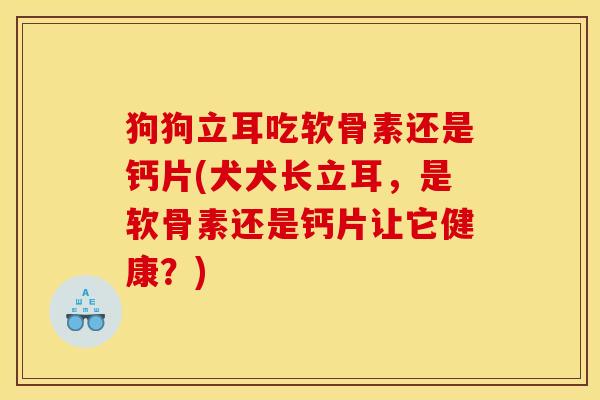 狗狗立耳吃软骨素还是钙片(犬犬长立耳，是软骨素还是钙片让它健康？)