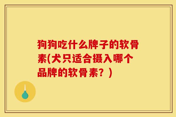 狗狗吃什么牌子的软骨素(犬只适合摄入哪个品牌的软骨素？)