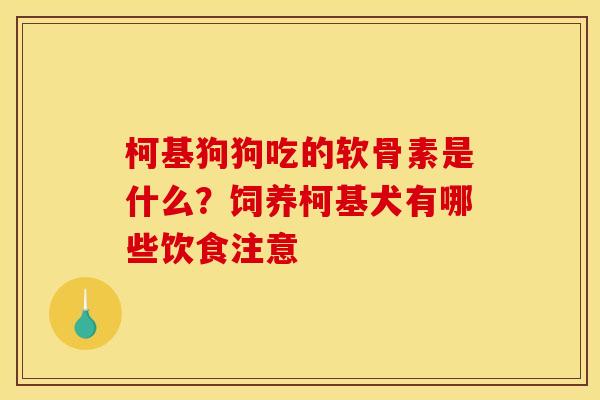 柯基狗狗吃的软骨素是什么？饲养柯基犬有哪些饮食注意