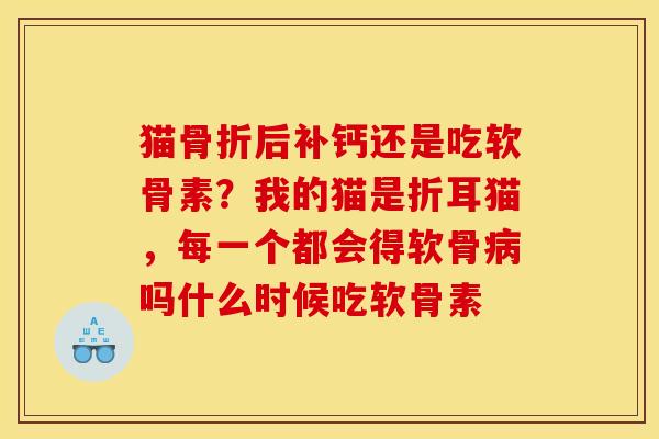 猫骨折后补钙还是吃软骨素？我的猫是折耳猫，每一个都会得软骨病吗什么时候吃软骨素