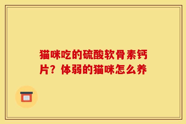 猫咪吃的硫酸软骨素钙片?体弱的猫咪怎么养 猫咪吃的硫酸软骨素钙片?体弱的猫咪怎么养