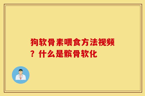 狗软骨素喂食方法视频？什么是髌骨软化