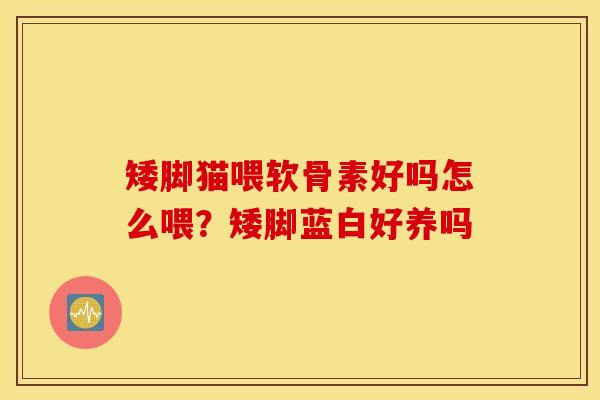 矮脚猫喂软骨素好吗怎么喂？矮脚蓝白好养吗