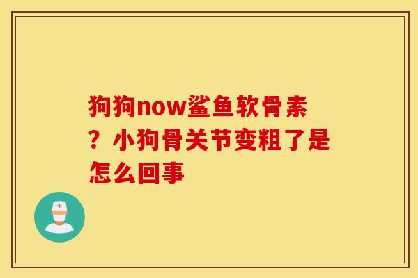 狗狗now鲨鱼软骨素？小狗骨关节变粗了是怎么回事