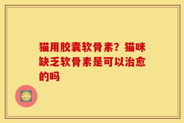 猫用胶囊软骨素？猫咪缺乏软骨素是可以治愈的吗