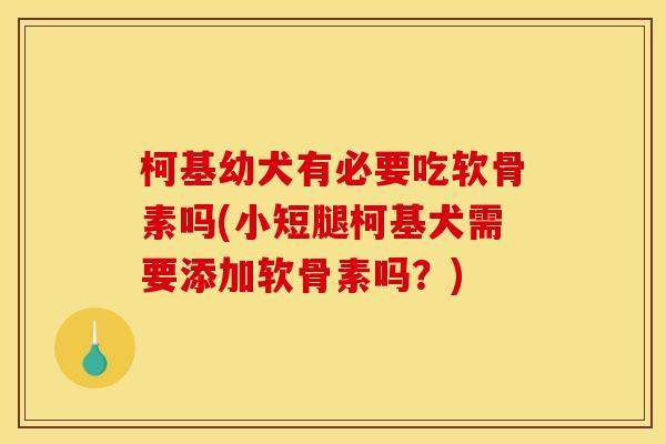 柯基幼犬有必要吃软骨素吗(小短腿柯基犬需要添加软骨素吗？)