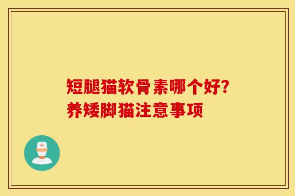 短腿猫软骨素哪个好？养矮脚猫注意事项