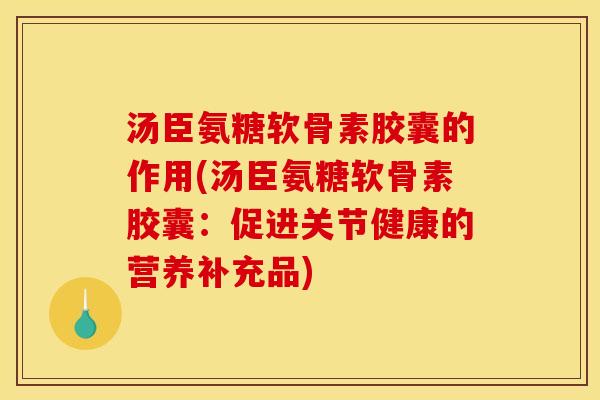 汤臣氨糖软骨素胶囊的作用(汤臣氨糖软骨素胶囊：促进关节健康的营养补充品)