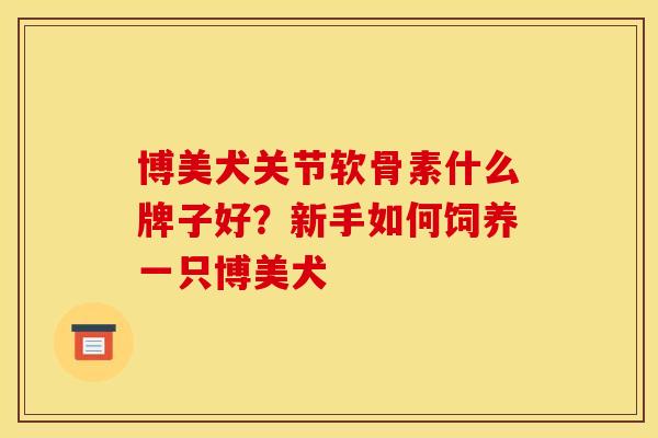 博美犬关节软骨素什么牌子好？新手如何饲养一只博美犬