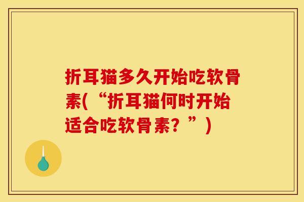 折耳猫多久开始吃软骨素(“折耳猫何时开始适合吃软骨素？”)
