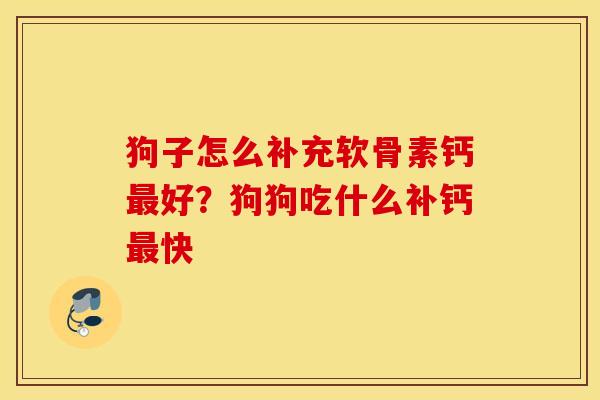 狗子怎么补充软骨素钙最好?狗狗吃什么补钙最快 狗子怎么补充软骨素钙最好?狗狗吃什么补钙最快