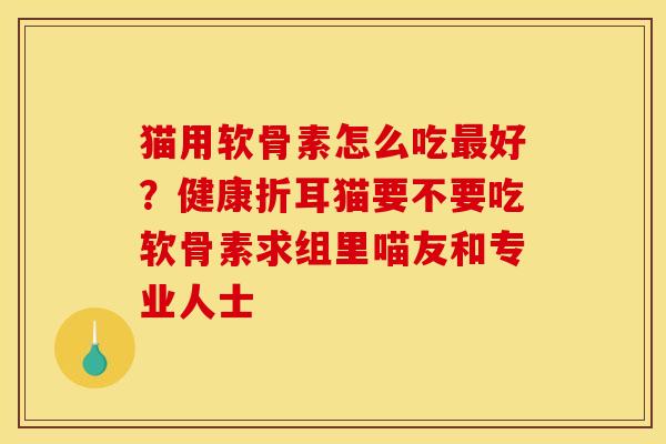 猫用软骨素怎么吃最好？健康折耳猫要不要吃软骨素求组里喵友和专业人士