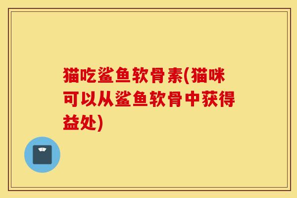 猫吃鲨鱼软骨素(猫咪可以从鲨鱼软骨中获得益处) 猫吃鲨鱼软骨素(猫咪可以从鲨鱼软骨中获得益处)