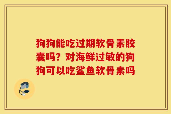 狗狗能吃过期软骨素胶囊吗？对海鲜过敏的狗狗可以吃鲨鱼软骨素吗