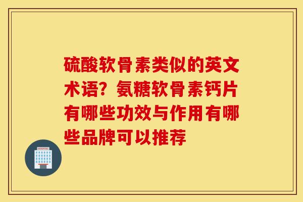 硫酸软骨素类似的英文术语？氨糖软骨素钙片有哪些功效与作用有哪些品牌可以推荐