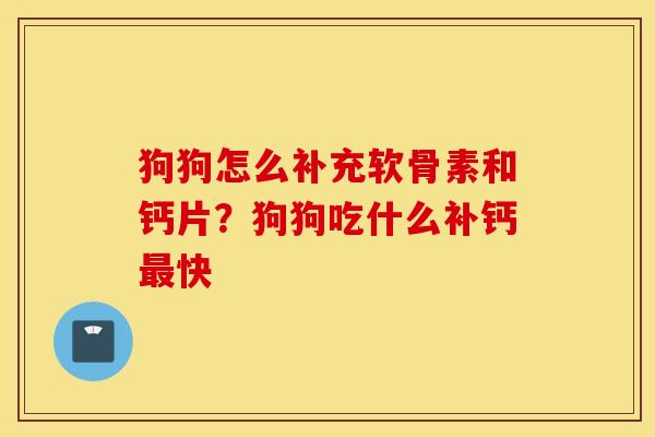 狗狗怎么补充软骨素和钙片？狗狗吃什么补钙最快