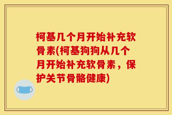 柯基几个月开始补充软骨素(柯基狗狗从几个月开始补充软骨素，保护关节骨骼健康)