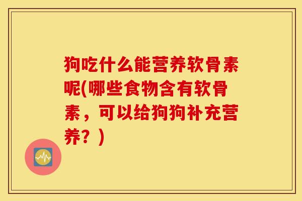 狗吃什么能营养软骨素呢(哪些食物含有软骨素，可以给狗狗补充营养？)
