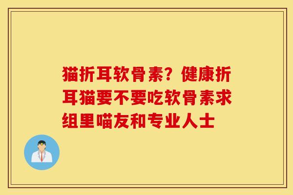 猫折耳软骨素？健康折耳猫要不要吃软骨素求组里喵友和专业人士