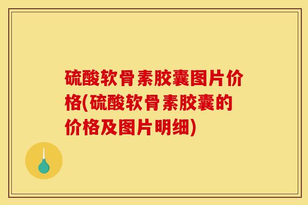 硫酸软骨素胶囊图片价格(硫酸软骨素胶囊的价格及图片明细)