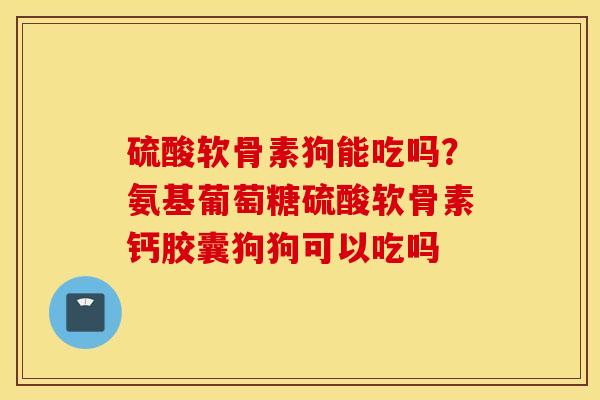 硫酸软骨素狗能吃吗？氨基葡萄糖硫酸软骨素钙胶囊狗狗可以吃吗