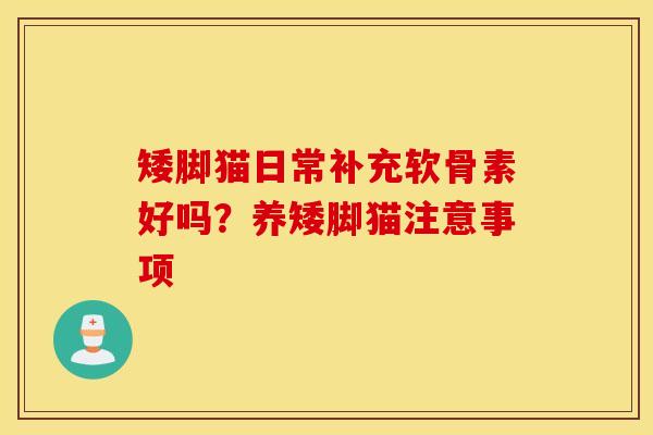 矮脚猫日常补充软骨素好吗？养矮脚猫注意事项